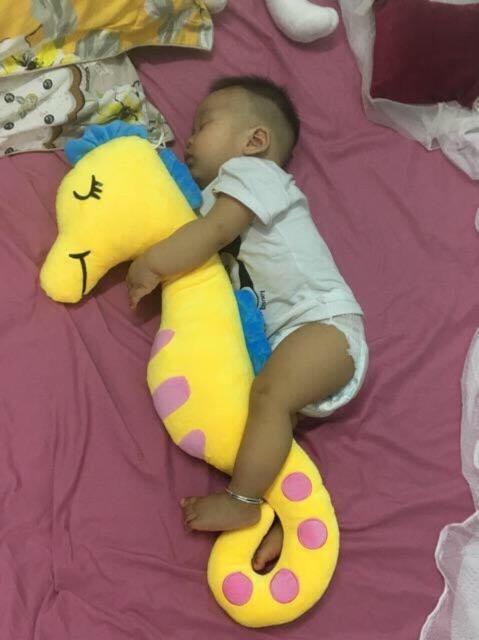 Gối Ôm Cá Ngựa Cho Bé - Gấu bông Ôm Đi Ngủ Cao Cấp CN Size70