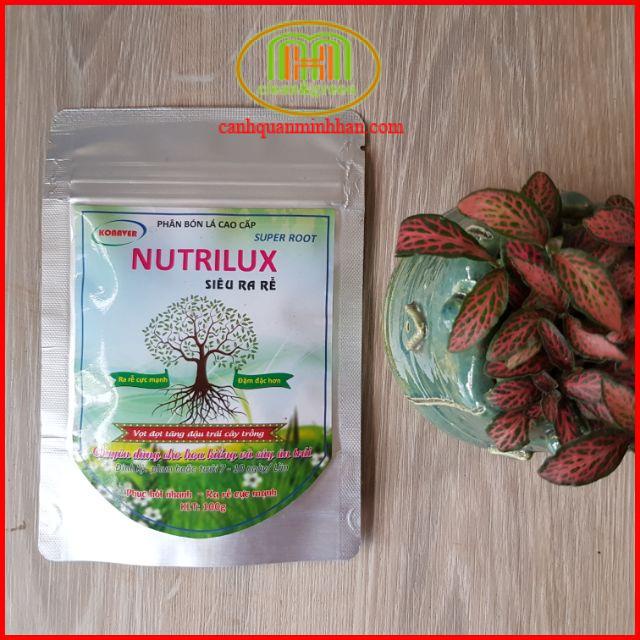 Siêu ra rễ cực mạnh Nutrilux super roots gói 100g  tăng trưởng mạnh, chống rụng hoa, giúp cây đâm tược.