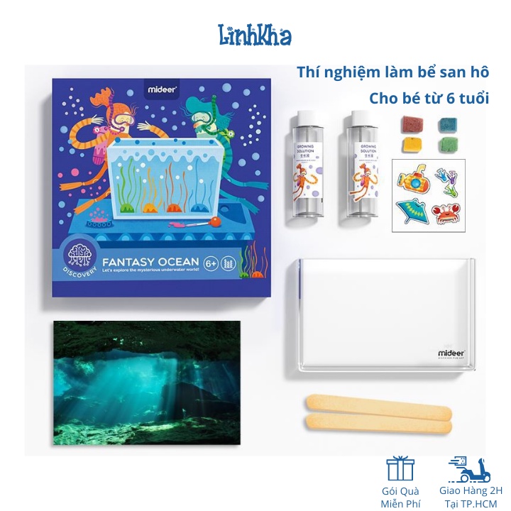 Đồ Chơi Thí Nghiệm Khoa Học Sự Phát Triển San Hô Cho Trẻ 6+ Mideer MD0129 - LinhKha