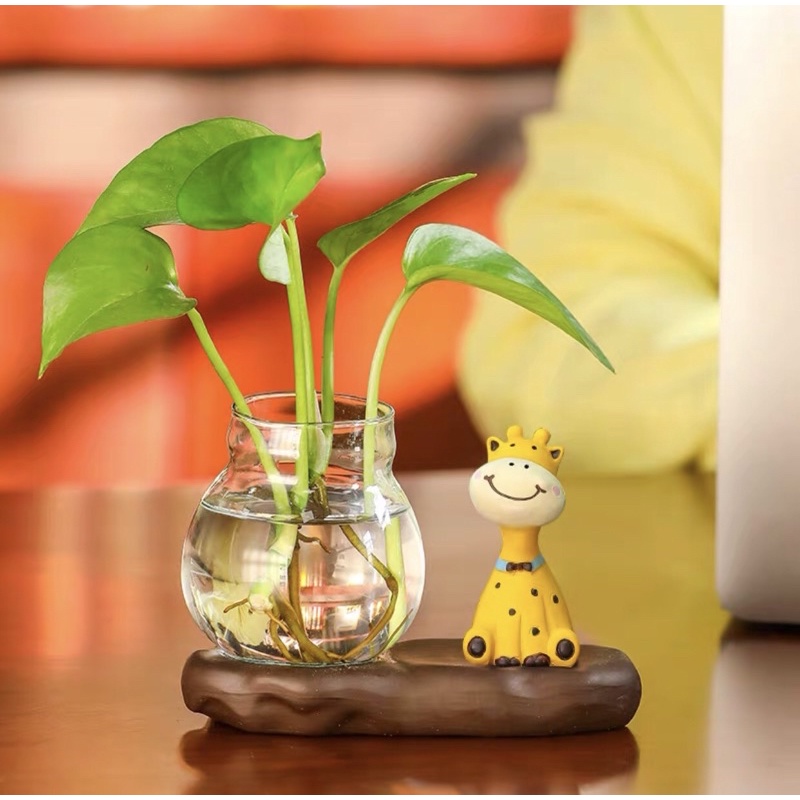 Chậu trồng cây thủy sinh mini, chậu thủy tinh để bàn