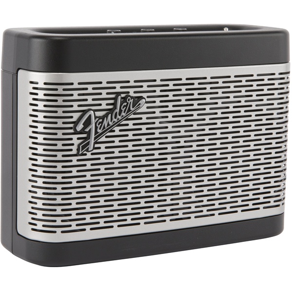 Loa không dây Fender Newport 2