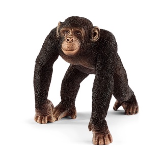Đồ chơi schleich mô hình tinh tinh đực 14817