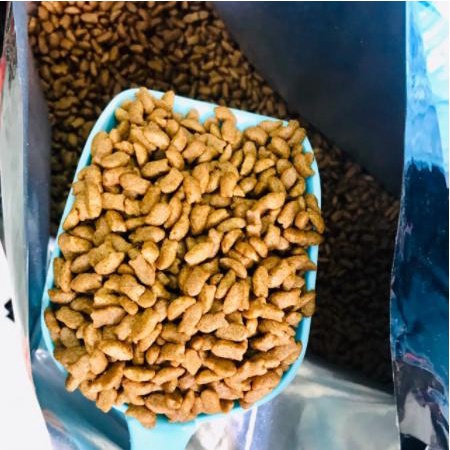 SHIP HỎA TỐC - Thức ăn cho mèo Cat's eye cho mọi lứa tuổi 1kg -ZIPPOPET SHOP