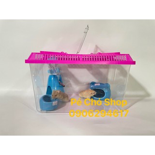 Hộp Mika Trong Suốt (Không phụ kiện) cho thú hamster,nhím,bò sát, size dài 30 cao rộng 20cm .