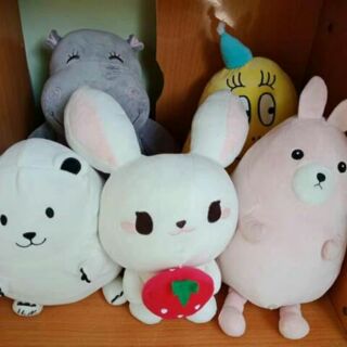 Set gấu  Nguyen Nguyen - 5NK