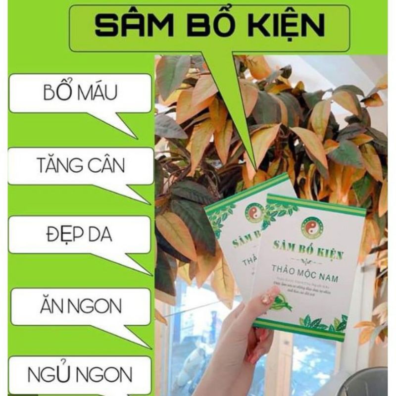 [ HÀNG CÔNG TY ]Sâm bổ kiện thảo mộc nam tăng cân tự nhiên đẹp da | BigBuy360 - bigbuy360.vn