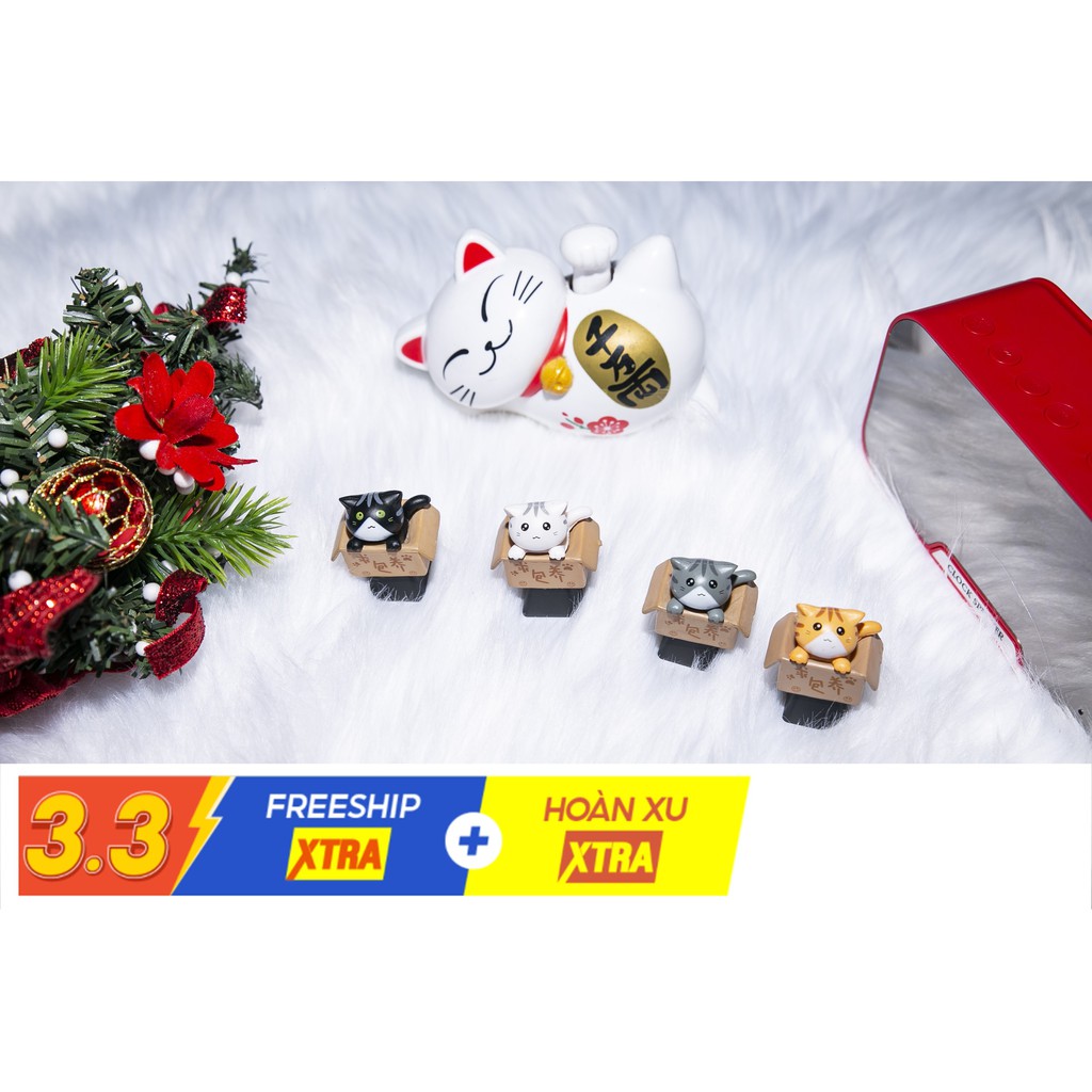 Keycap Mèo Con Trong Hộp Cute [Combo 4màu 139k] [NEW 2020] | BigBuy360 - bigbuy360.vn