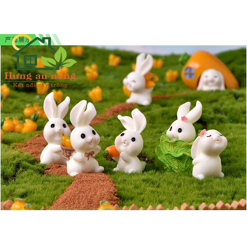 TT01 - Mô hình GIA ĐÌNH THỎ 02 trang trí tiểu cảnh sen đá xương rồng cây để bàn