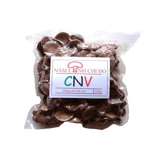 Nấm linh chi đỏ đà lạt loại nhỏ CNV 500g (Hồng chi đà lạt)
