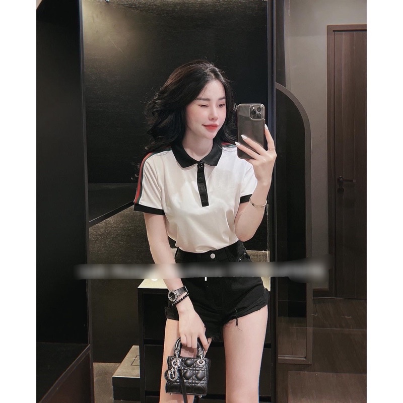 Áo POLO cổ đức sọc vai
