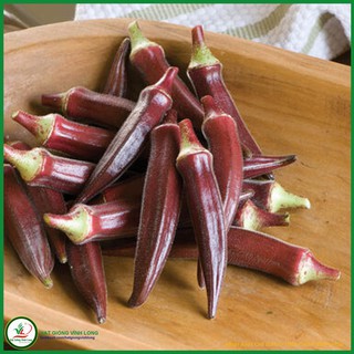 Hạt giống Đậu bắp đỏ RD 309 - 2g