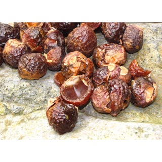 Bồ hòn tách vỏ cực khô
