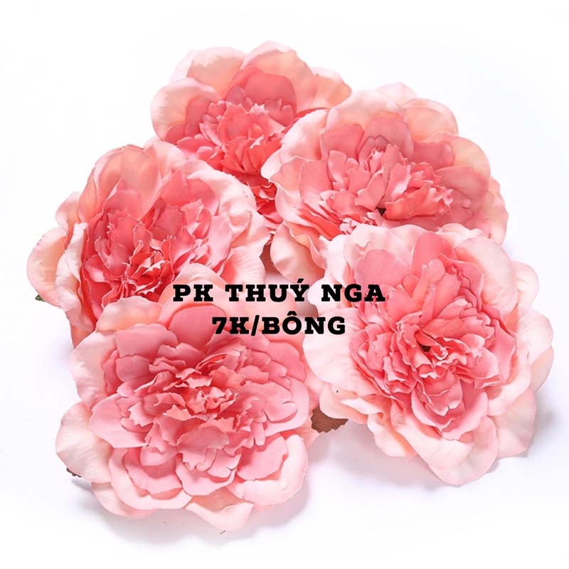 5 hoa mẫu đơn trang trí bánh