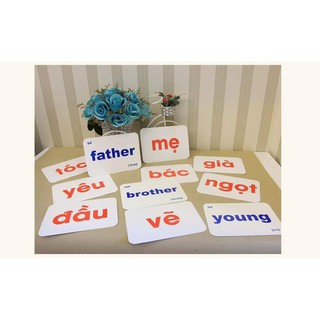 Bộ Từ Vựng Glenn Doman (100 thẻ Từ Đơn và 20 Thẻ Từ Ghép) (SP001288 )