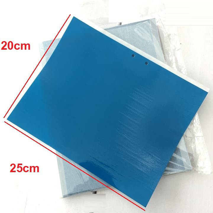 Bộ 10 Miếng Dán Bẫy Côn Trùng Màu Vàng 20x25cm (10 Miếng)