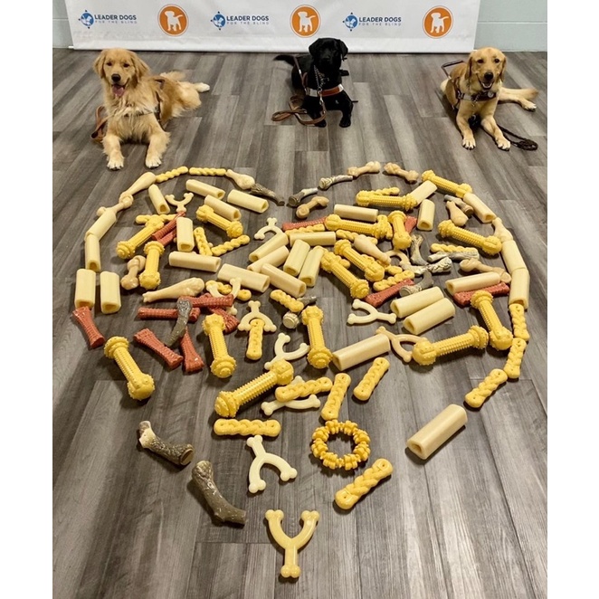 🇺🇸 Đồ chơi cao cấp cho chó Nylabone Dog Toys Dog Chews