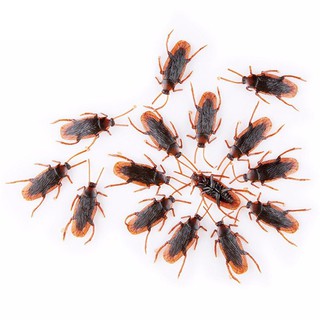 Bộ con gián giả đáng sợ