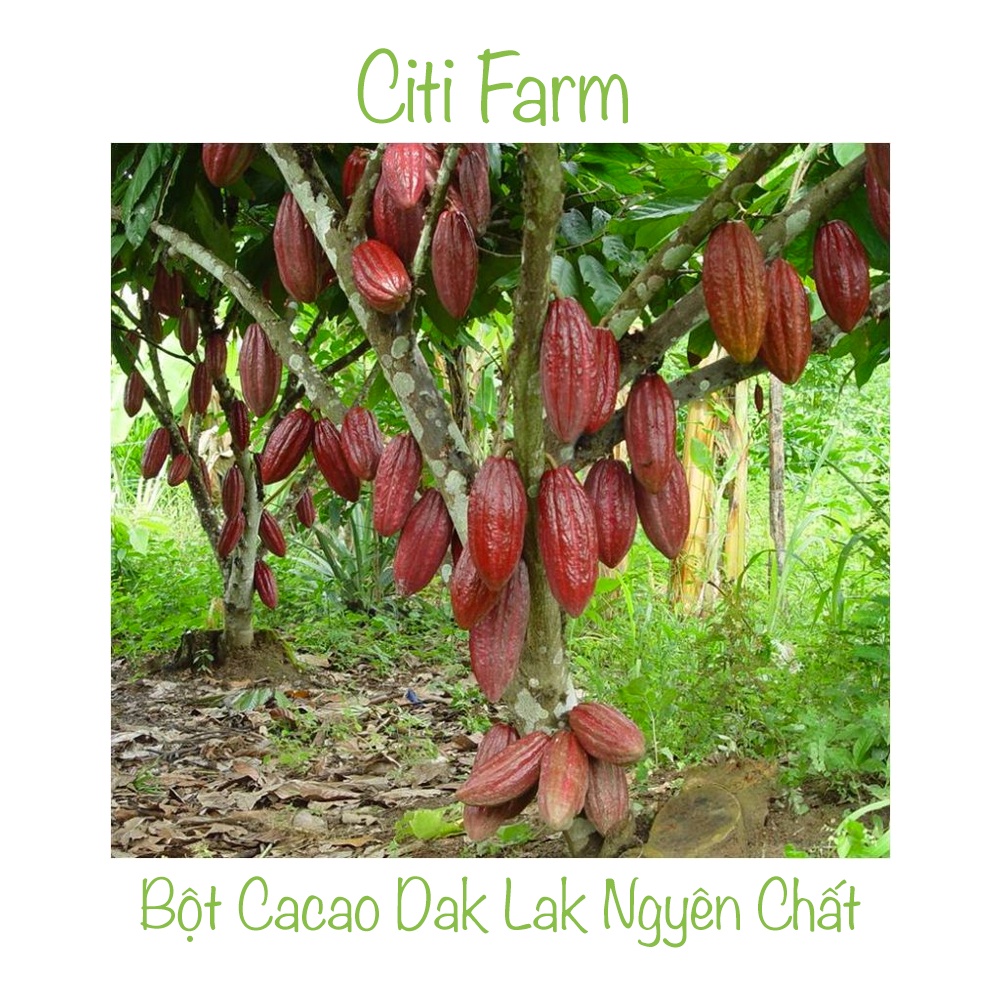 0.5 KG Bột Cacao Dak Lak Nguyên Chất