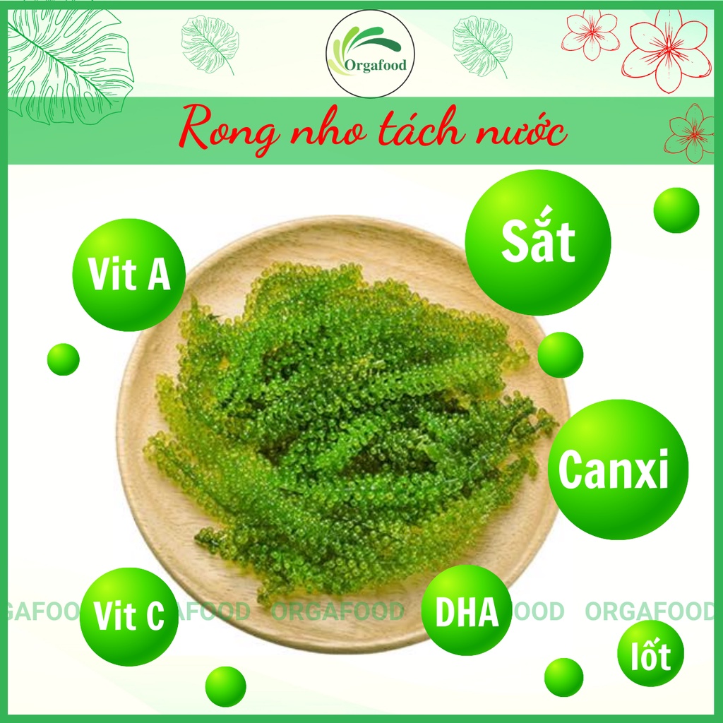 Rong nho tách nước Khánh Hòa 100g Orgafood ăn vặt healthy