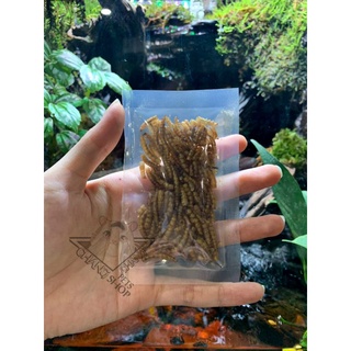 Sâu trung thơm béo dành cho Hamster