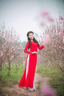 Vải áo dài lụa thái tuấn
