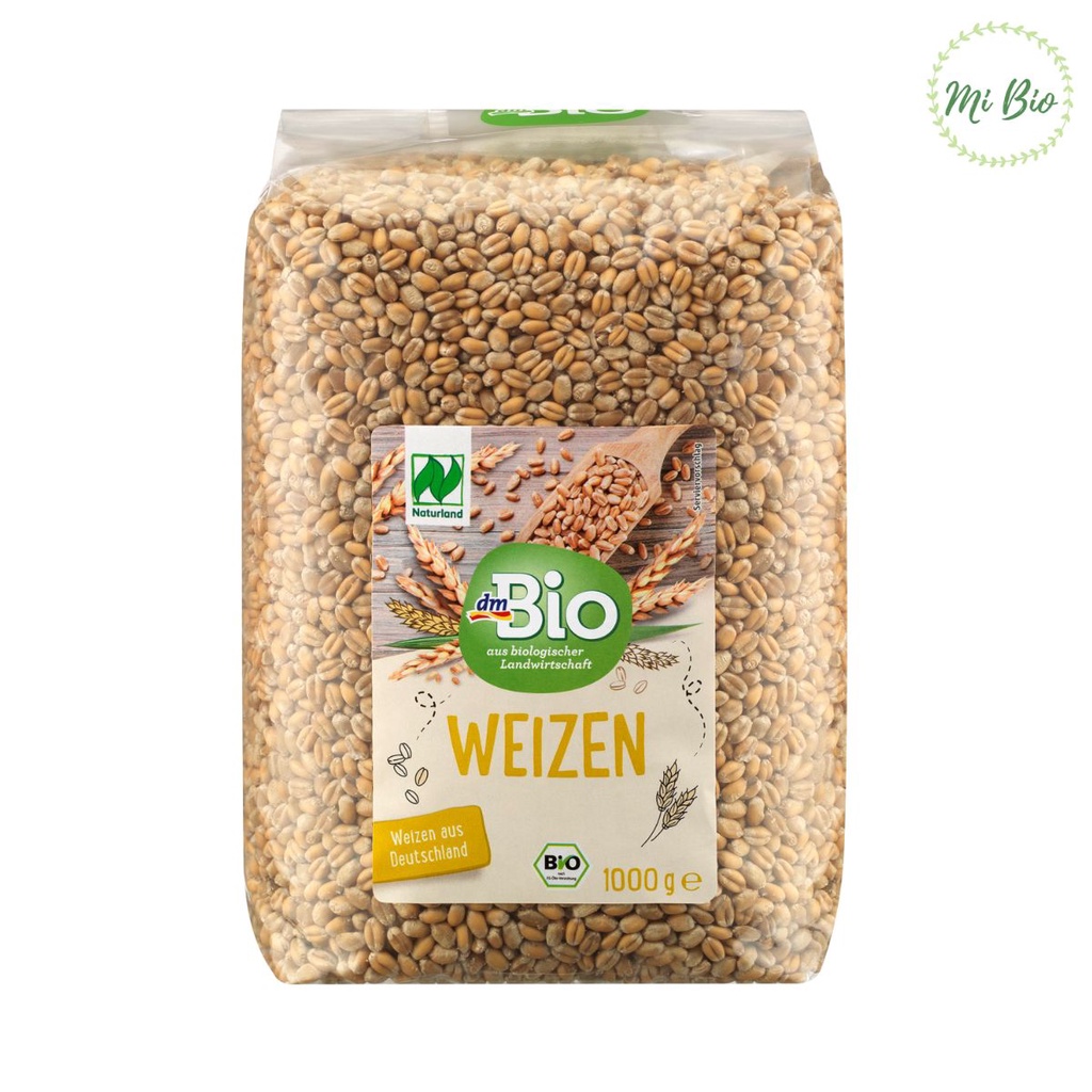 Hạt cỏ lúa mì hữu cơ 1000gr - dmBio