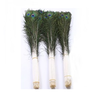 COMBO 10 LÔNG CÔNG TỰ NHIÊN DÀI 80CM