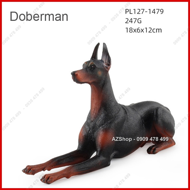 Mô Hình Chó Nhà Size Trung - Golden Malinoise Doberman Corgi Datsun Poodle Bully - 7662.1