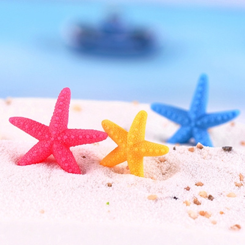 Set 10 sao biển mini nhiều màu sắc trang trí sân vườn