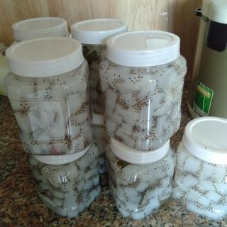 Combo 100gram hạt chia +100gram hạt é loại ngon