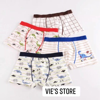 Sét 10 quần chip bé trai 10-48kg