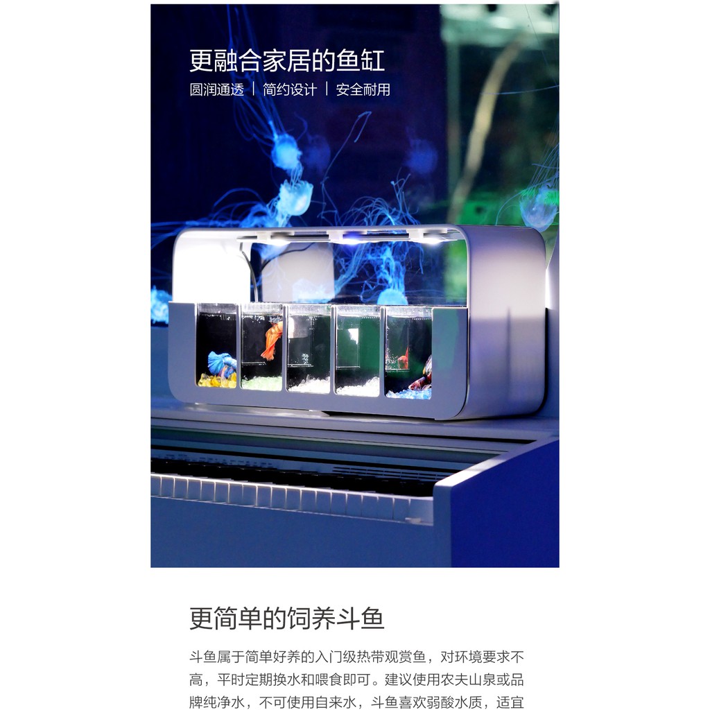 Bể cá betta acrylic 5 ngăn sang trọng hiện đại 10