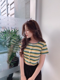 Áo kiểu MONIKA CROPTOP trẻ trung