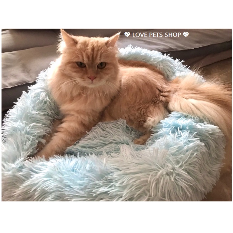 NỆM NẰM CHO CHÓ MÈO LÔNG TRÒN - LOVE PETS SHOP