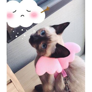 Dây dắt cánh thiên thần dành cho thú cưng conme