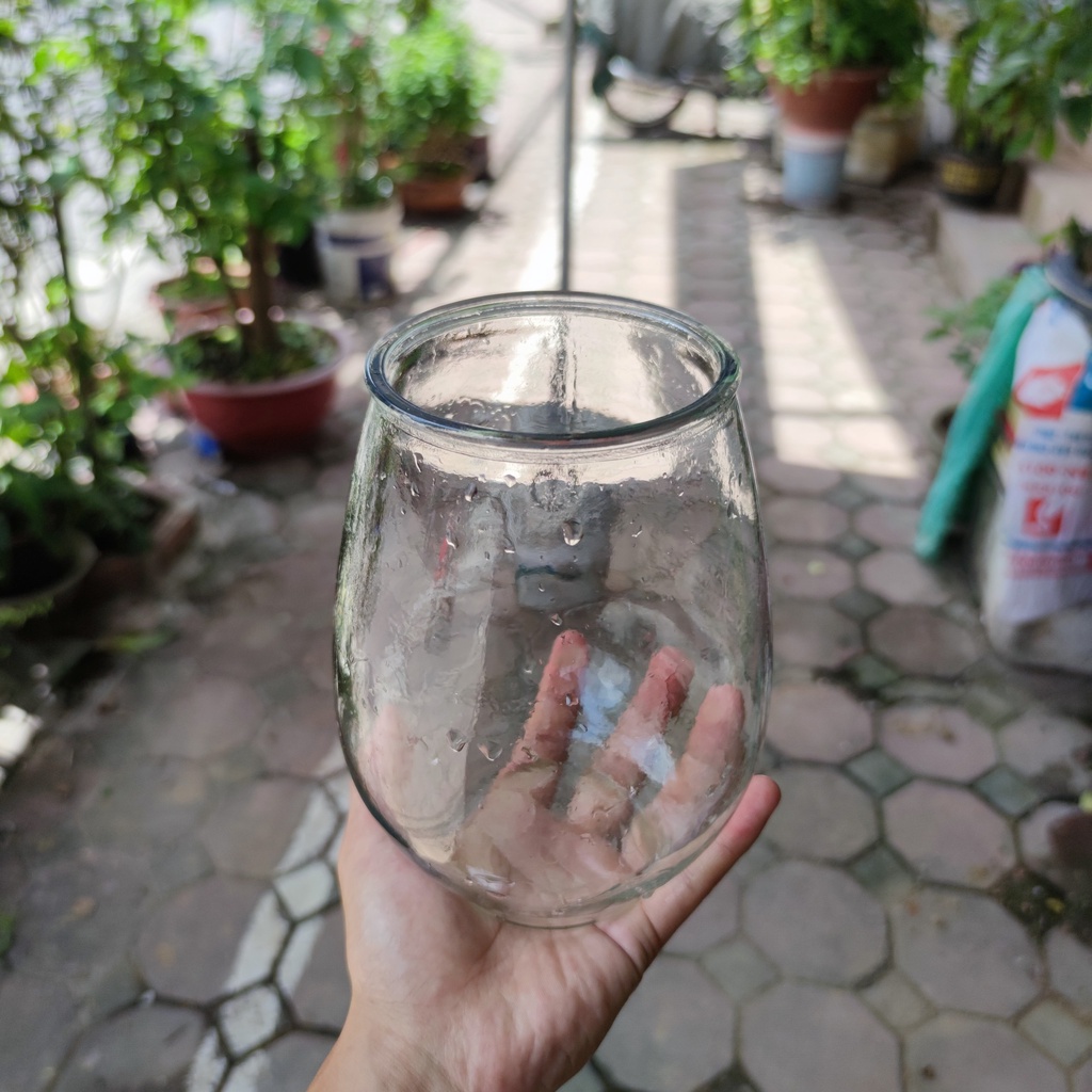 COMBO Bình thủy tinh kèm giá đỡn miệng loe để trồng cây thủy sinh