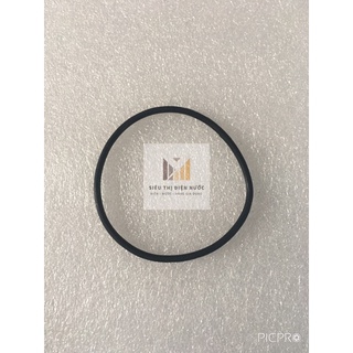 Zoăng - ron cao su cho cốc lọc 10 inch