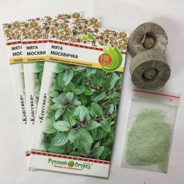 BẠC HÀ CHOCOLATE