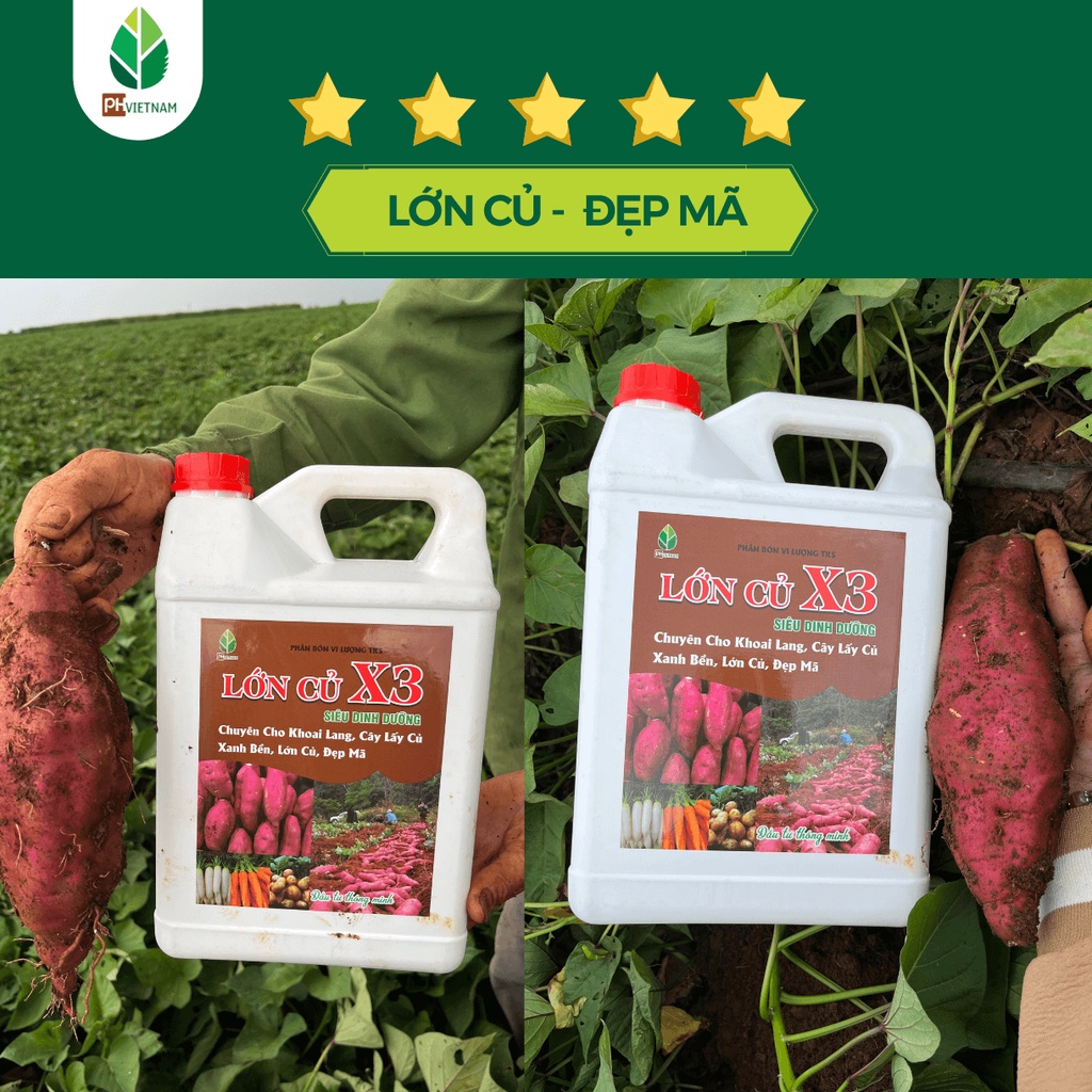 Phân Bón Hữu Cơ Lớn Củ X3 Can 5 Lít – Chuyên Cho Khoai Lang, Cây Lấy Củ – Lớn Củ, Đẹp Mã, Chắc Củ - PH Việt Nam