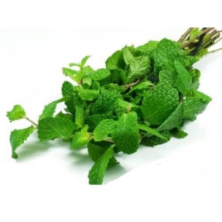 Rau Húng Bạc Hà Tươi  Loại 1cành to đẹp chuyên đung decor,nấu ăn, giâm cành 1 bó to khoảng 200g