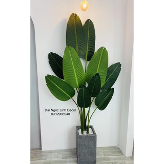 cây chuối giả 1,6m