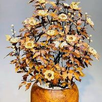 Mỹ phẩm sinh học Việt Nam