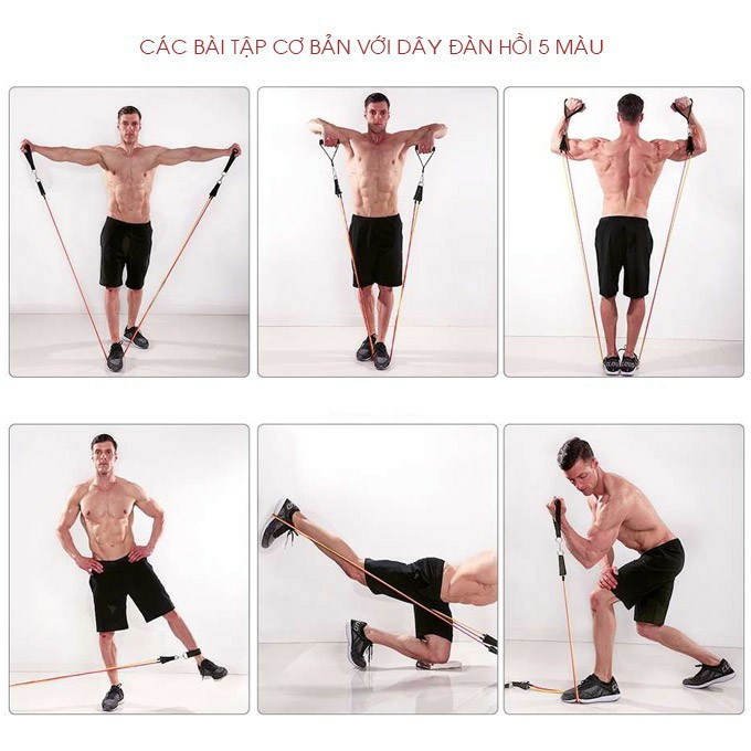 [FREESHIP] Dây Kháng Lực Đa năng Tập Gym. Dây Ngũ Sắc Tập Thể Thao Cao Cấp Móc Sắt To