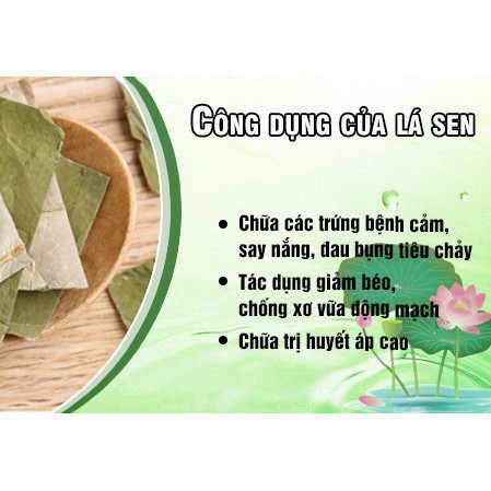 Bột lá sen nguyên chất Quảng Thanh 100g [CarobiFood]