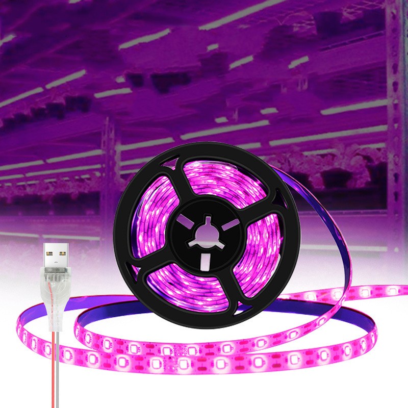 Dây Đèn USB 0.5M / 1M / 3M Trang Trí Giáng Sinh