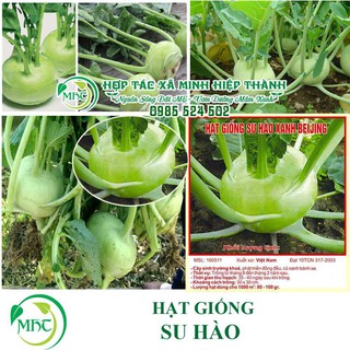 Sale off Hạt giống su hào cực đẹp.