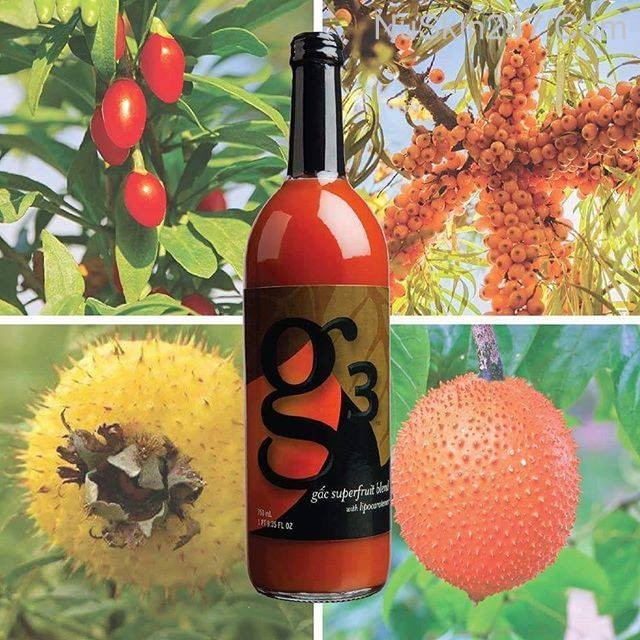 [Cặp 2 Chai] Nuskin G3 - Thực Phẩm Hỗ Trợ Chống Lão Hóa  Date Mới Nhất Công Ty T8/2023