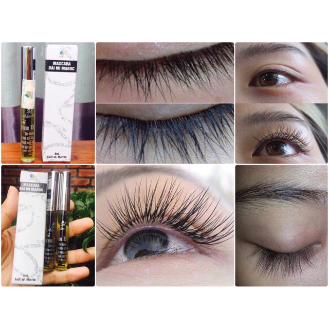 ( CHÍNH HÃNG ) Dài mi Maroc, rậm lông mày, Mascara Dài mi Maroc, Dưỡng dài mi, Mọc lông mày | BigBuy360 - bigbuy360.vn