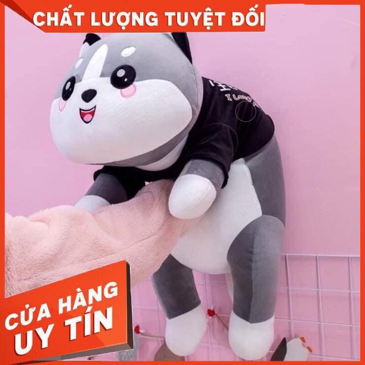 [Giá rẻ bất ngờ] Gấu Bông Mèo Husky Mắt Tròn Đáng Yêu 100% Bông Gòn Cao Cấp - Vải Nhung Co Dãn 4 Chiều