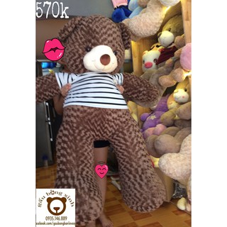 Gấu teddy vnxk áo thun dài thật 1m5